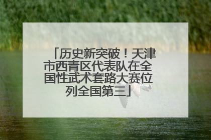 历史新突破！天津市西青区代表队在全国性武术套路大赛位列全国第三