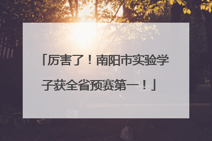 厉害了！南阳市实验学子获全省预赛第一！