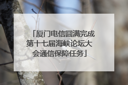 厦门电信圆满完成第十七届海峡论坛大会通信保障任务