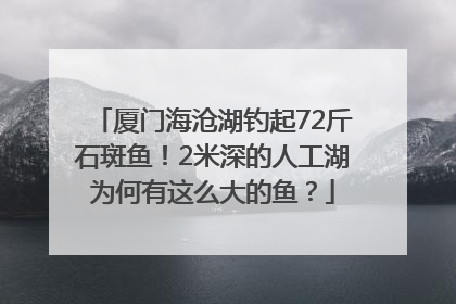 厦门海沧湖钓起72斤石斑鱼！2米深的人工湖为何有这么大的鱼？