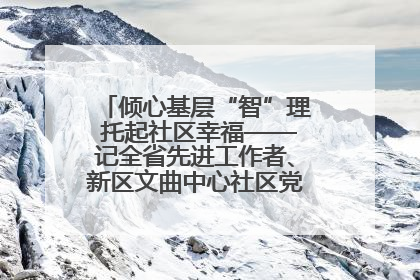 倾心基层“智”理 托起社区幸福——记全省先进工作者、新区文曲中心社区党委书记董世弘