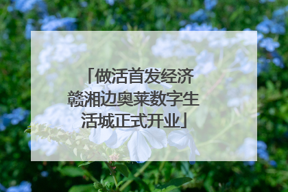 做活首发经济 赣湘边奥莱数字生活城正式开业
