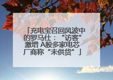充电宝召回风波中的罗马仕：“访客”激增 A股多家电芯厂商称“未供货”