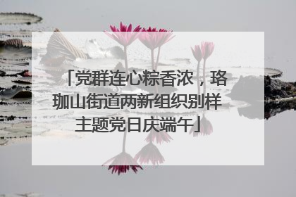 党群连心粽香浓，珞珈山街道两新组织别样主题党日庆端午