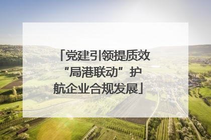 党建引领提质效 “局港联动”护航企业合规发展