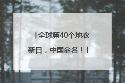 全球第40个地衣新目，中国命名！