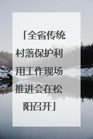 全省传统村落保护利用工作现场推进会在松阳召开
