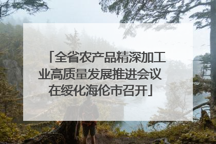 全省农产品精深加工业高质量发展推进会议在绥化海伦市召开