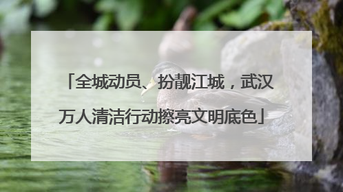 全城动员、扮靓江城，武汉万人清洁行动擦亮文明底色