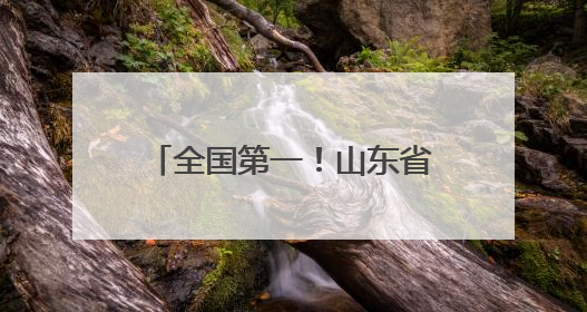 全国第一！山东省文物安全卫星遥感监测中心揭牌成立
