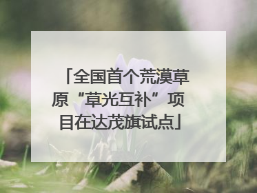 全国首个荒漠草原“草光互补”项目在达茂旗试点