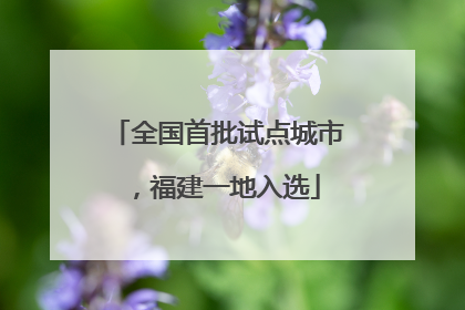 全国首批试点城市，福建一地入选