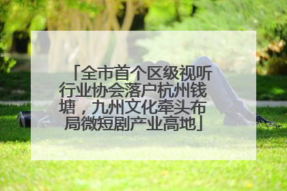 全市首个区级视听行业协会落户杭州钱塘，九州文化牵头布局微短剧产业高地
