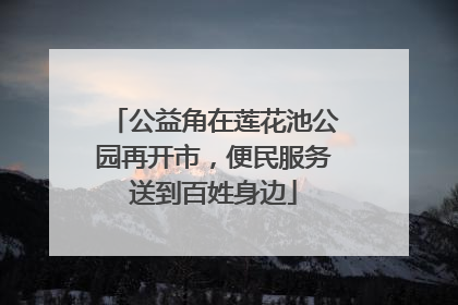 公益角在莲花池公园再开市，便民服务送到百姓身边