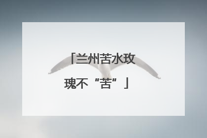 兰州苦水玫瑰不“苦”