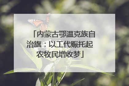 内蒙古鄂温克族自治旗：以工代赈托起农牧民增收梦