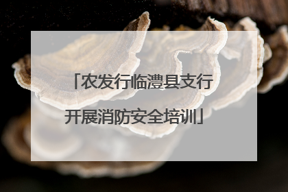 农发行临澧县支行开展消防安全培训