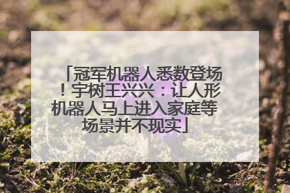 冠军机器人悉数登场！宇树王兴兴：让人形机器人马上进入家庭等场景并不现实
