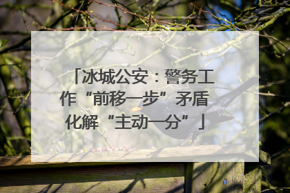 冰城公安：警务工作“前移一步”矛盾化解“主动一分”