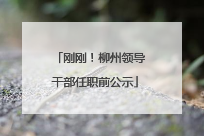 刚刚！柳州领导干部任职前公示