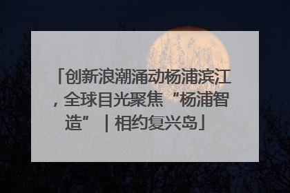 创新浪潮涌动杨浦滨江，全球目光聚焦“杨浦智造”｜相约复兴岛