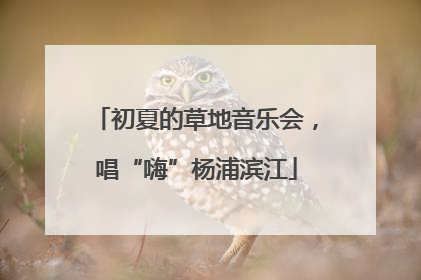 初夏的草地音乐会，唱“嗨”杨浦滨江