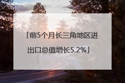 前5个月长三角地区进出口总值增长5.2%