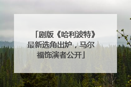 剧版《哈利波特》最新选角出炉，马尔福饰演者公开
