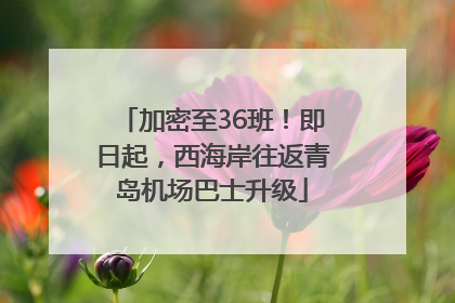 加密至36班！即日起，西海岸往返青岛机场巴士升级