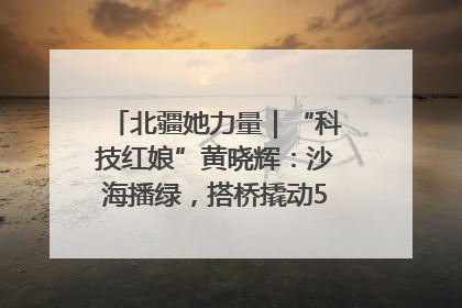 北疆她力量｜“科技红娘”黄晓辉：沙海播绿，搭桥撬动5.3亿研发