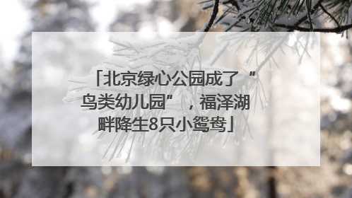 北京绿心公园成了“鸟类幼儿园”，福泽湖畔降生8只小鸳鸯