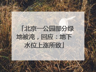 北京一公园部分绿地被淹，回应：地下水位上涨所致