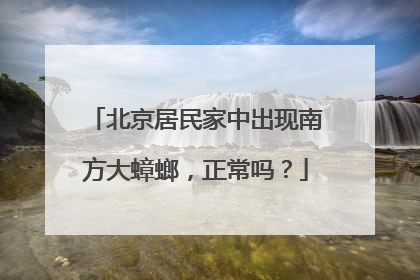 北京居民家中出现南方大蟑螂，正常吗？