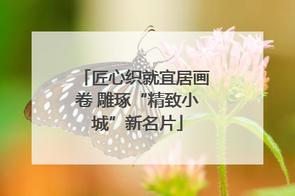 匠心织就宜居画卷 雕琢“精致小城”新名片