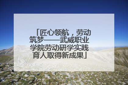 匠心领航，劳动筑梦——武威职业学院劳动研学实践育人取得新成果