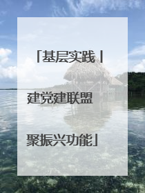 基层实践丨建党建联盟 聚振兴功能