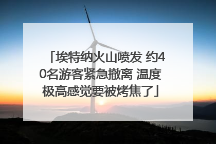 埃特纳火山喷发 约40名游客紧急撤离 温度极高感觉要被烤焦了