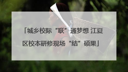 城乡校际“联”通梦想 江夏区校本研修现场“结”硕果