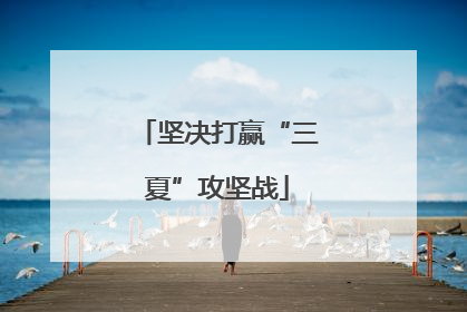 坚决打赢“三夏”攻坚战