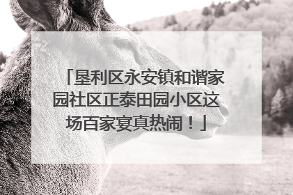垦利区永安镇和谐家园社区正泰田园小区这场百家宴真热闹！