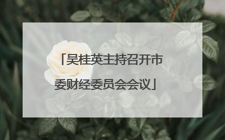 吴桂英主持召开市委财经委员会会议