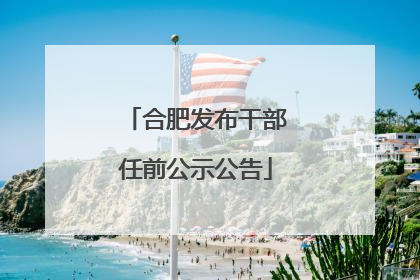 合肥发布干部任前公示公告