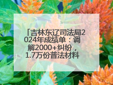 吉林东辽司法局2024年成绩单：调解2000+纠纷，1.7万份普法材料飞入百姓家！
