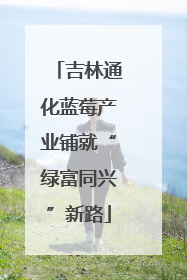 吉林通化蓝莓产业铺就“绿富同兴”新路