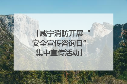 咸宁消防开展“安全宣传咨询日”集中宣传活动