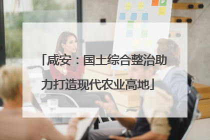 咸安：国土综合整治助力打造现代农业高地
