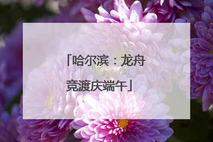 哈尔滨：龙舟竞渡庆端午