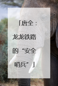 唐全：龙龙铁路的“安全哨兵”