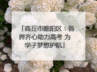 商丘市睢阳区：各界齐心助力高考 为学子梦想护航