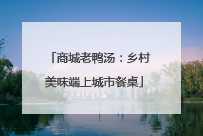商城老鸭汤：乡村美味端上城市餐桌